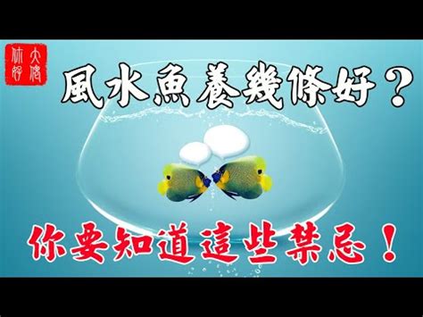 養魚的數量